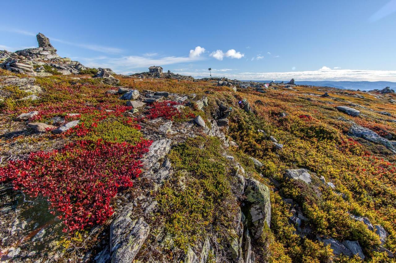 SvingvollSkeikampen Leilighet, Veslesetervegen 973 F公寓 外观 照片
