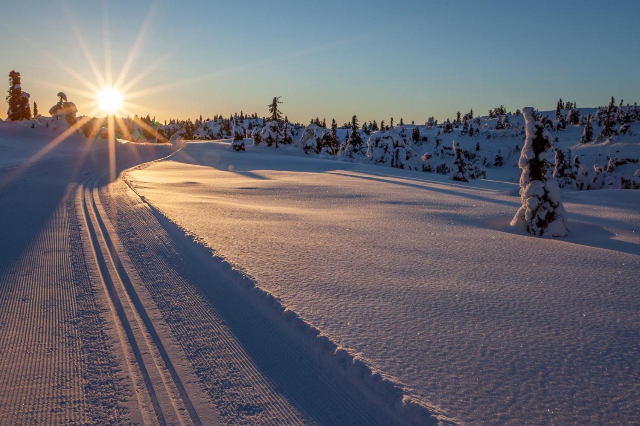 SvingvollSkeikampen Leilighet, Veslesetervegen 973 F公寓 外观 照片